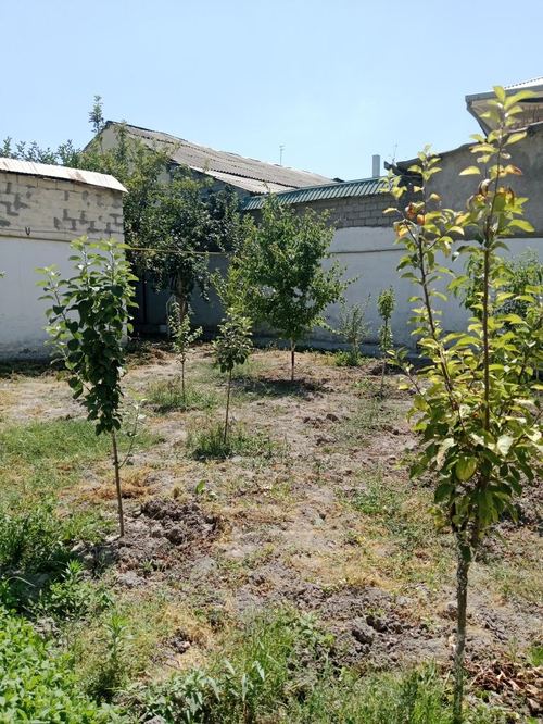 5-комнатный дом, 450 м²