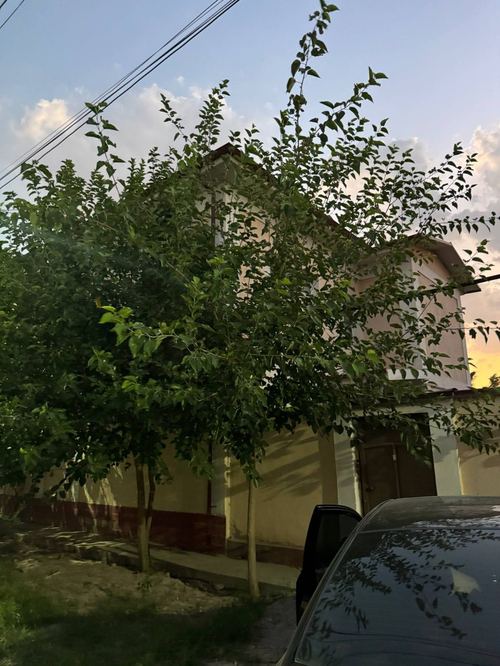 4-комнатный коттедж, 100 м²