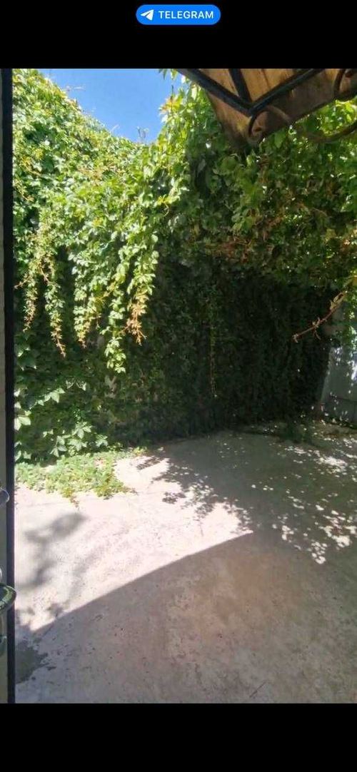 1-комнатный дом, 50 м²