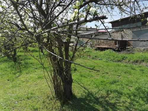 2-room house, 50 m²
