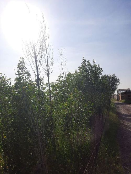 5-room dacha, 200 m²