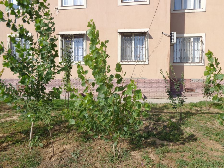 2-xonali kvartira, 56 m², 1/12 qavat, Toshkent, Shayxontohur tumani, sotuvga
