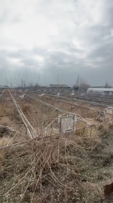 Абу-Сахий бозор 12 км 80 Сотух Ферма Порник Участка Склад АНГОР База