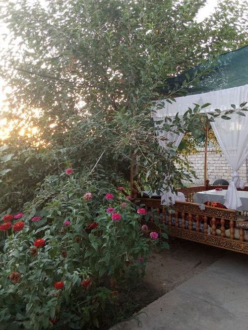 4-room dacha, 6 m²