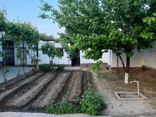 5-room house, 27000 m²