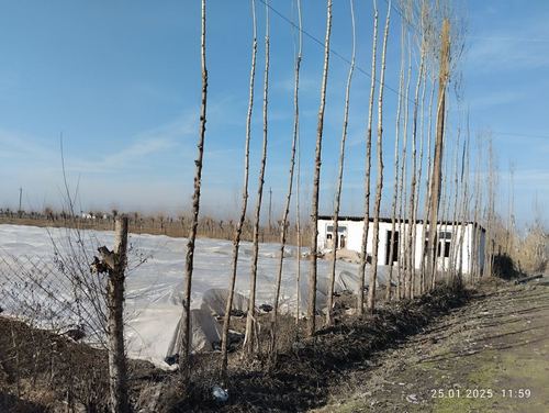 1-room house, 34 m²