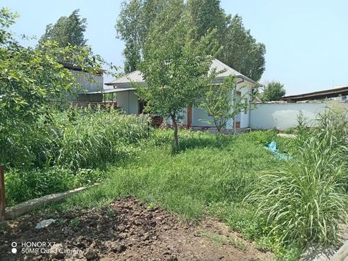 1-комнатный дом, 800 м²
