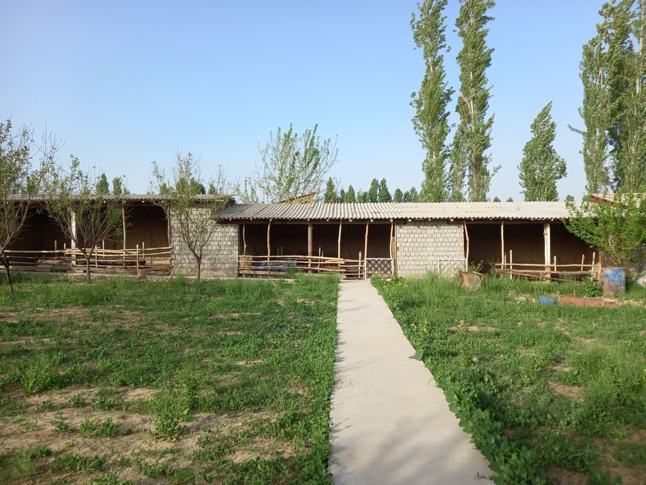 3-комнатный дом, 1000 м², Янгиюль, на продажу