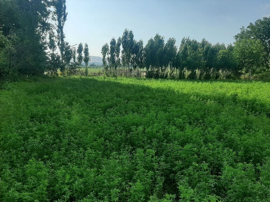 3-room house part, 100 m², Искандар, for sale