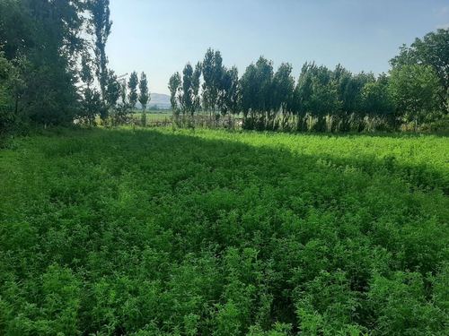 3-room house part, 100 m²