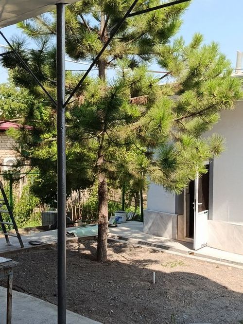 6-xonali uy, 600 m²