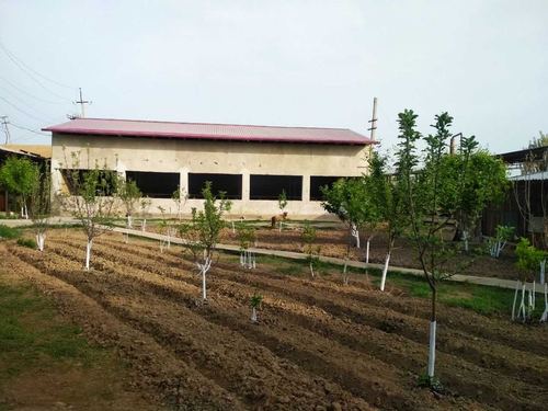 1-xonali dacha, 1500 m²