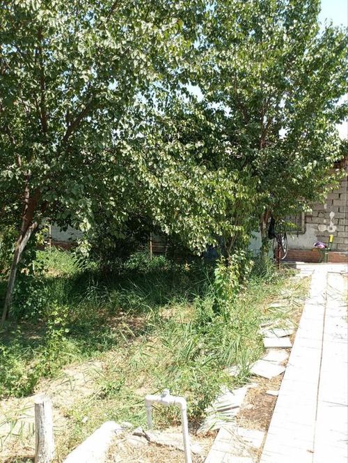 1-xonali dacha, 5800 m²