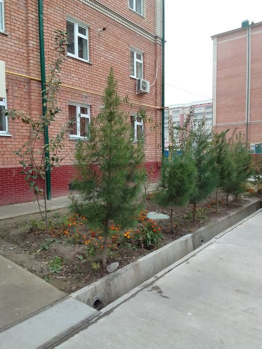 3-room apartment, 81 m², 1/7 floor, Tashkent, Sergeli District, for sale