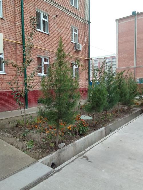 3-room apartment, 81 m²