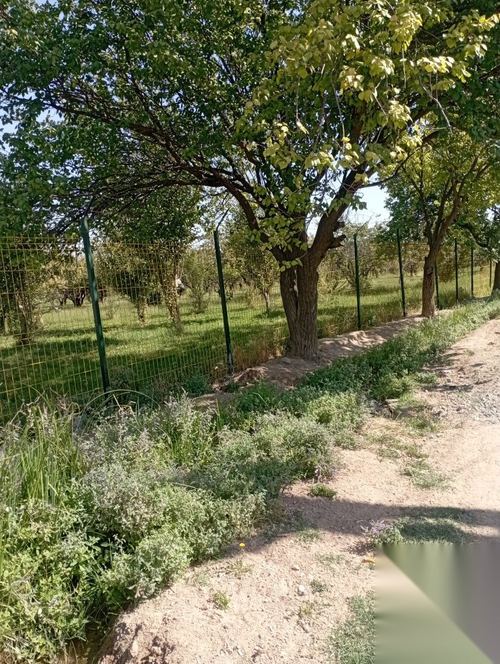 Участка ер сотилади 2сотикк
