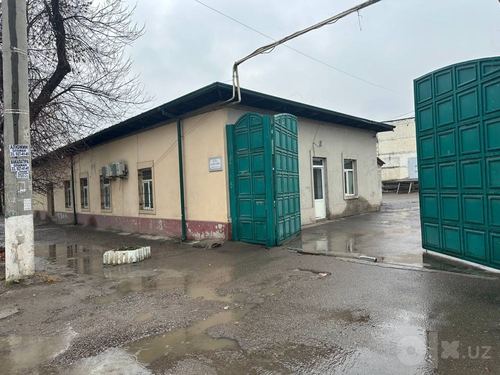 Жомеда 155 сотихли база сотилади.