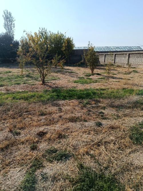 Yer sotiladi. Qibray Madaniyat 4 sotix yer