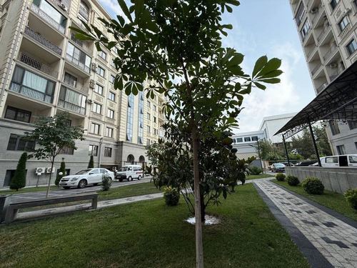 2-xonali kvartira, 55 m²