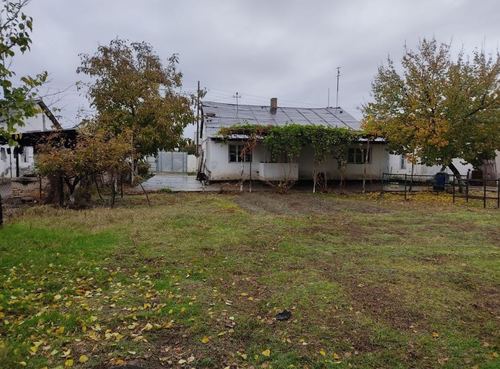 Garden, land for rent, 3 sotix