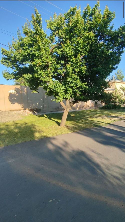 Private land for sale for construction