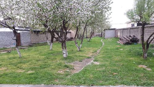 Срочно продается земля