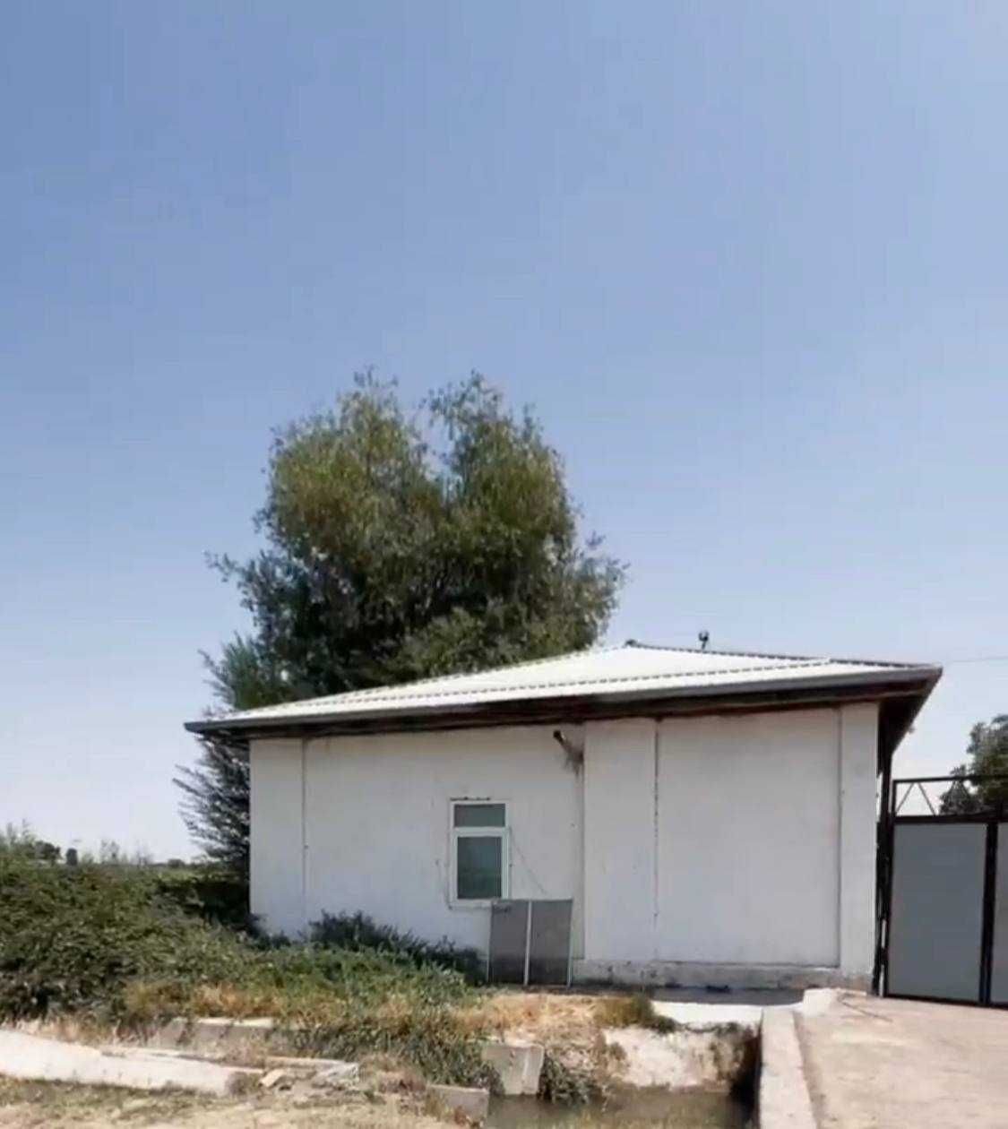Yik-Ota sobiq fermasi bazasi 73 sotix ishlab chiqarish uchun, magistraldan 800 m
