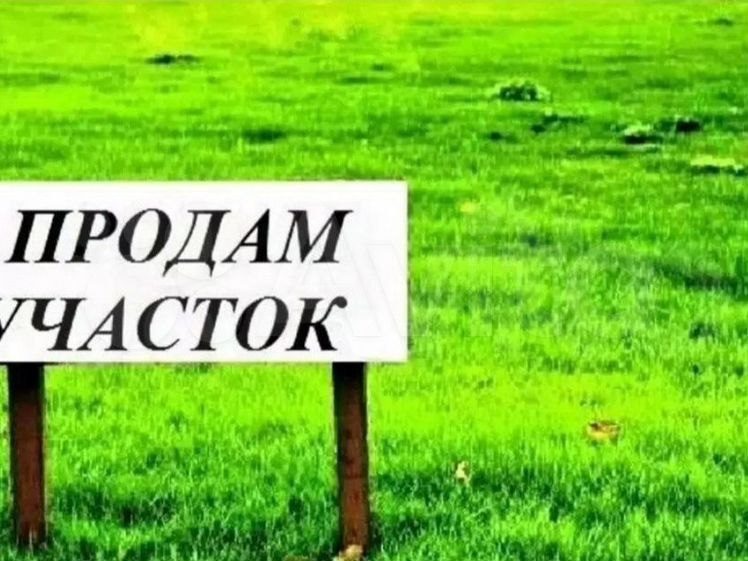 Surumda 25 sotix yer sotiladi