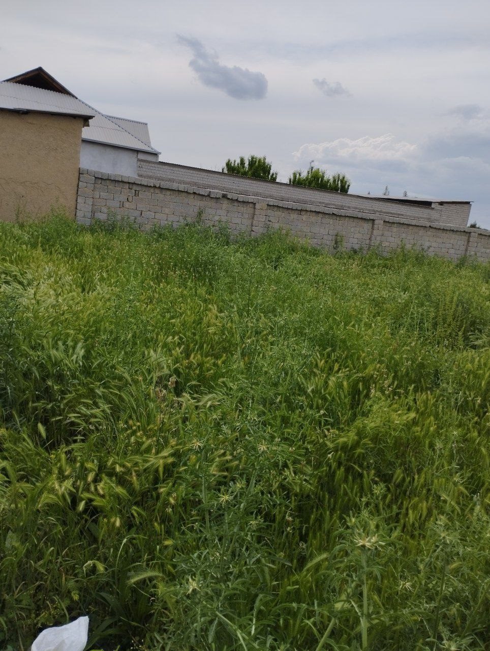 2-комнатный дом, 700 м², Ташкент, Сергелийский район, на продажу