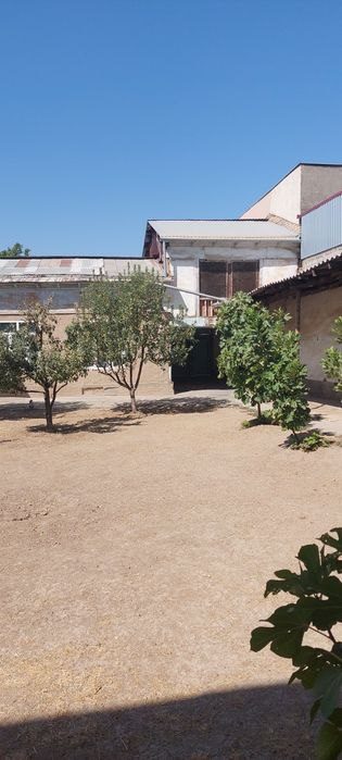 Urgent. Land for sale in Bekobod, 3 sotok. New Tashkent.