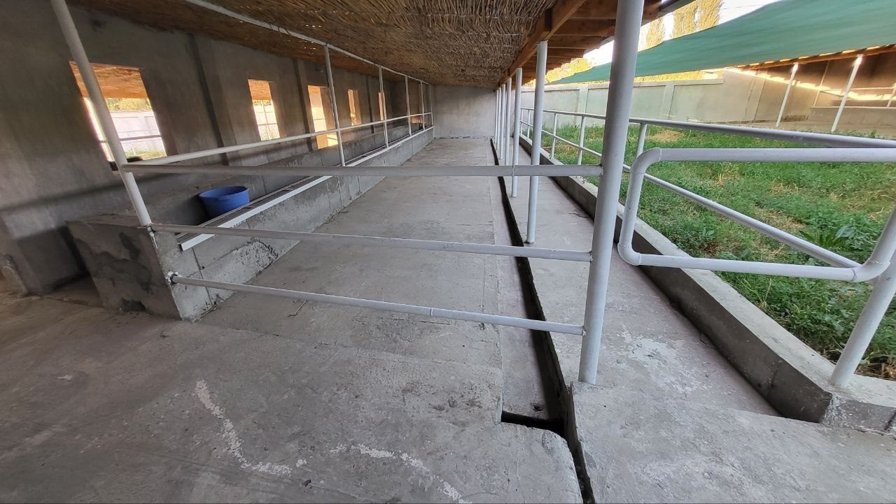 Mini farm for sale, Yangiyol, m39