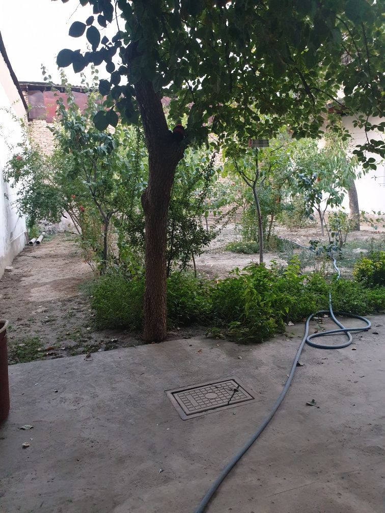 7-xonali uy, 250 m², Toshkent, Mirzo Ulug‘bek tumani, sotuvga