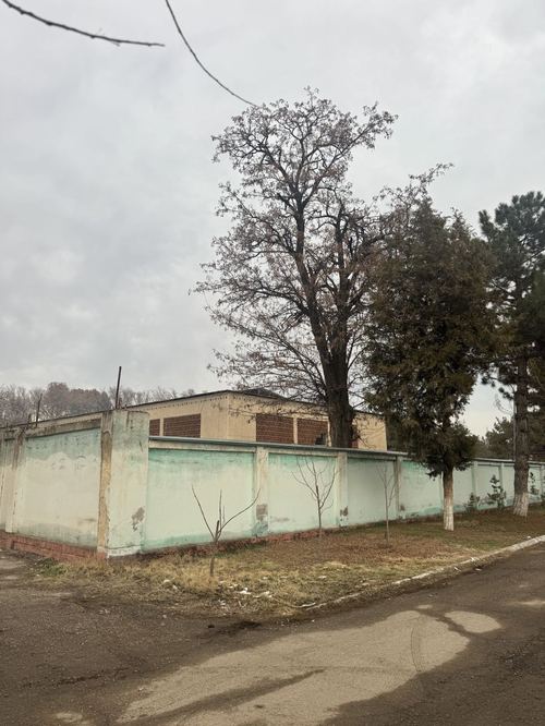 Продается земля в Янги Узбекистон