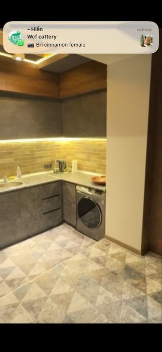 2-xonali kvartira, 65 m², Toshkent, Shayxontohur tumani, ijaraga