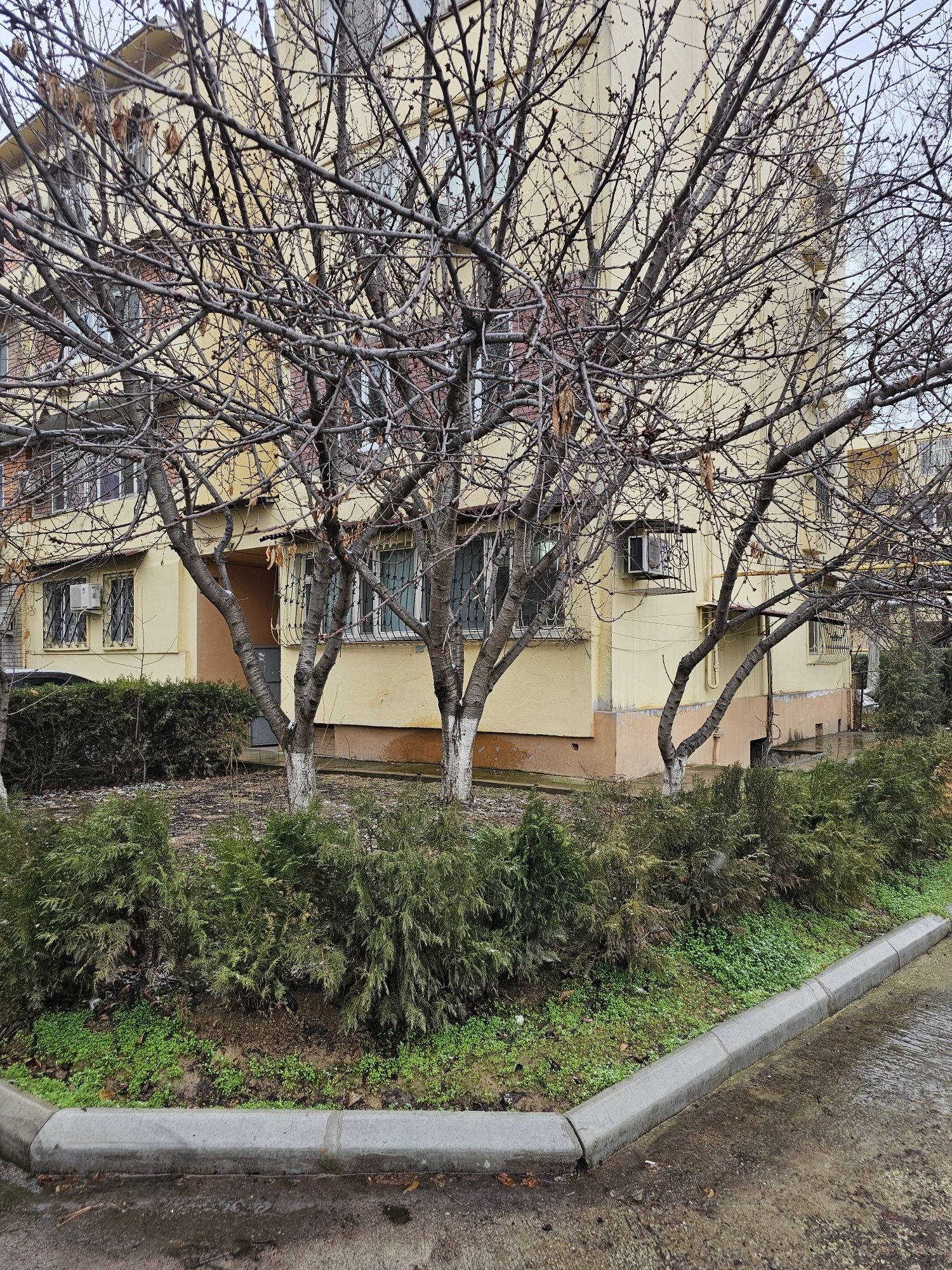 2-xonali kvartira, 80 m², Toshkent, Yunusobod tumani, ijaraga
