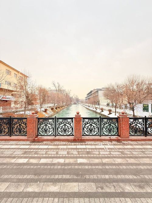 3-room apartment for rent