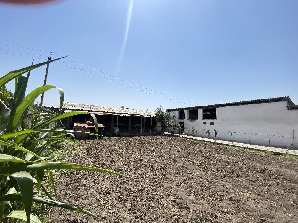 1-room house, 625 m², Tashkent, Bektemir District, for sale