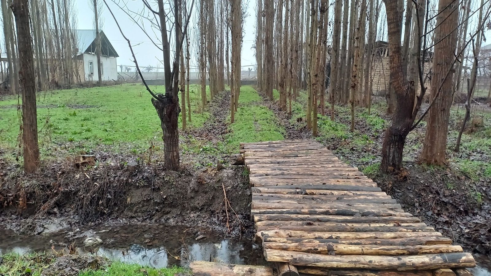5-xonali uy, 31000 m², Toshkent, Bektemir tumani, sotuvga