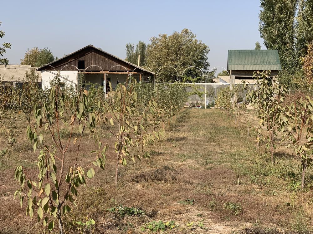 3-xonali dacha, 80 m², Toshkent, Mirzo Ulug‘bek tumani, sotuvga