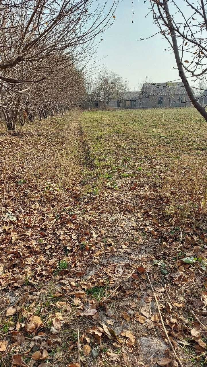 4-xonali uy, 40000 m², Toshkent, Mirzo Ulug‘bek tumani, sotuvga