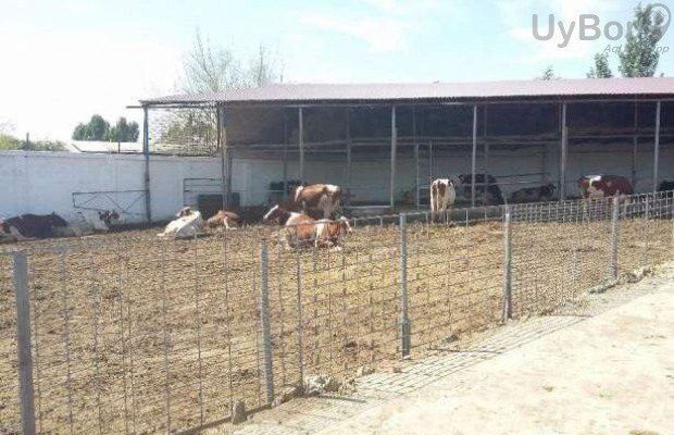6-xonali uy, 5000 m², Toshkent, Chilonzor tumani, sotuvga