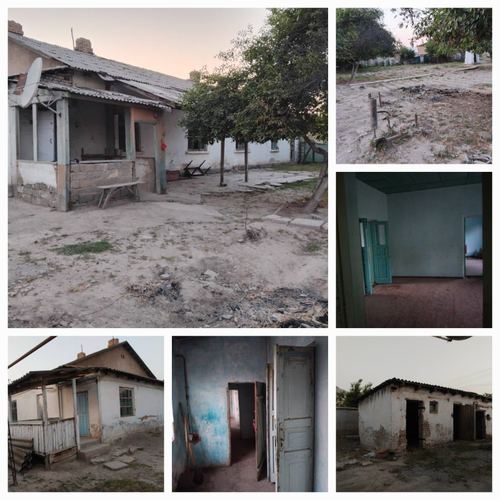 Tashkent region, Kuychikchik district, Tashaul MFA, Bogishomol street, house 5.