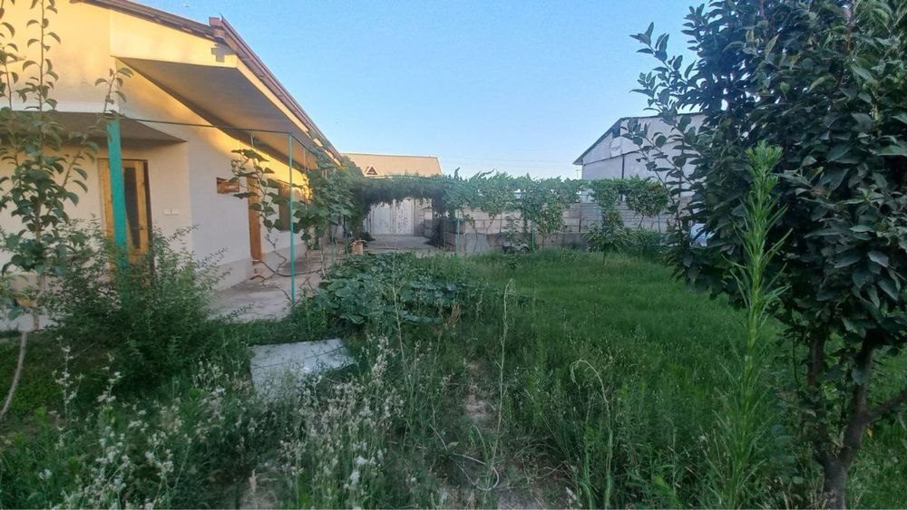 1-xonali uy, 60 m², Toshkent, Yashnobod tumani, sotuvga