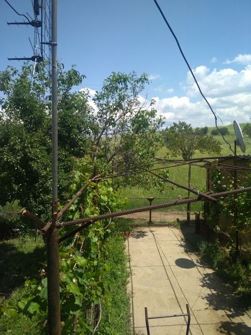Дом/Участок Продается, в хорошем месте.