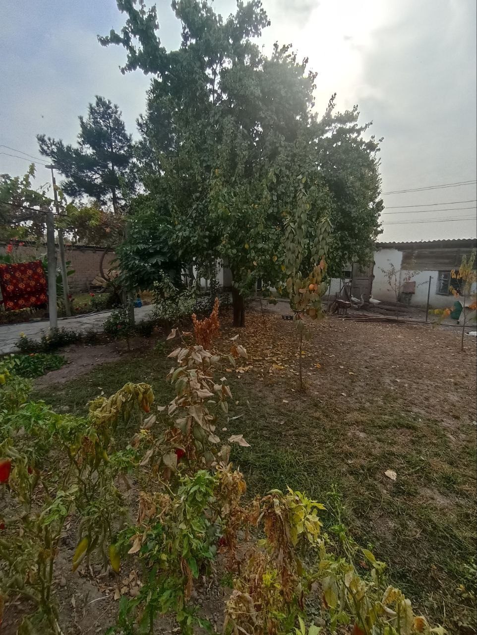 3-комнатный дом, 65 м², Ташкент, Бектемирский район, на продажу