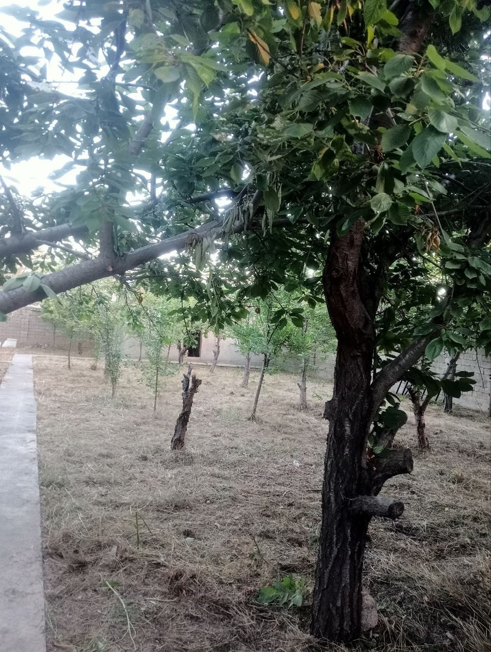 2-xonali uy, 6 m², Toshkent, Mirobod tumani, sotuvga