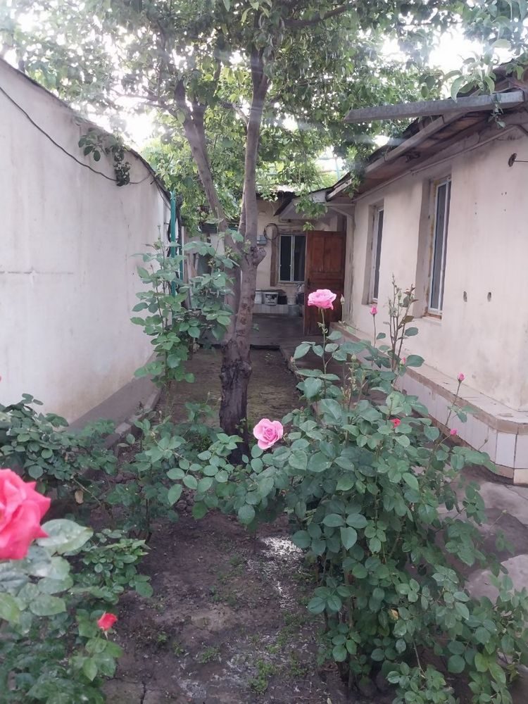 3-xonali uy, 70 m², Toshkent, Mirobod tumani, sotuvga
