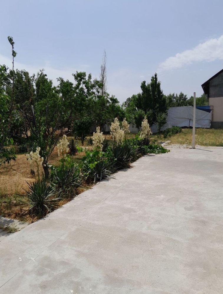 2-xonali dacha, 550 m², Toshkent, Mirzo Ulug‘bek tumani, sotuvga