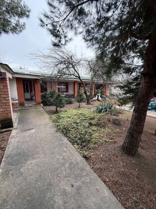 Dacha for Sale, Parkent-Nilufar