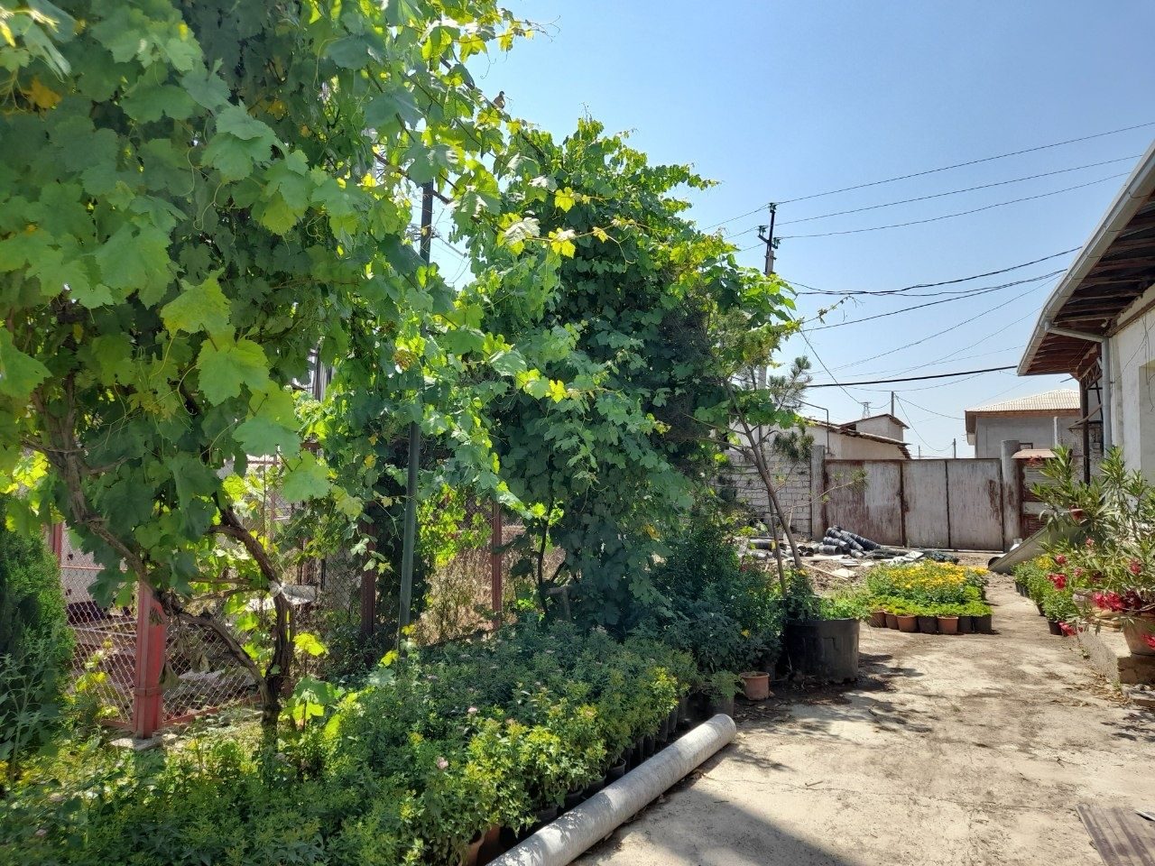 4-xonali uy, 500 m², Toshkent, Sergeli tumani, sotuvga